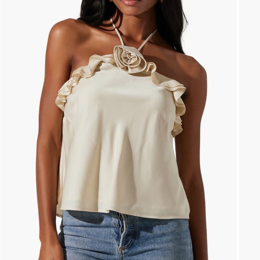 COPY - NWT ASTR the Label Alix Roaette Halter Top in Champaign